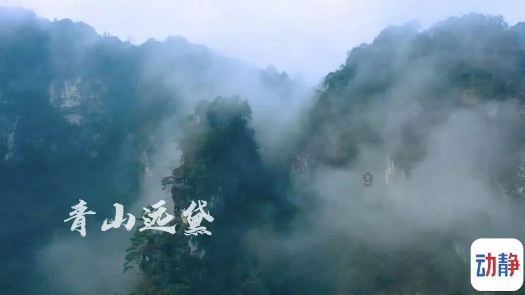 奥利维亚药店